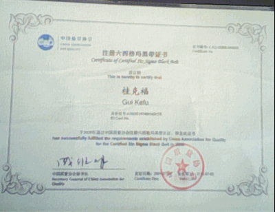 跆拳道黑带_六西格玛黑带 收入(3)